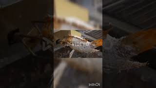 National Geographic Best Moments: Koi Fish π€£π€£π€£ #trending #wisespade7 #nationalgeographic #memes National Geographic Best Moments: Koi Fish π€£π€£π€£ #trending #wisespade7 #nationalgeographic #memes
