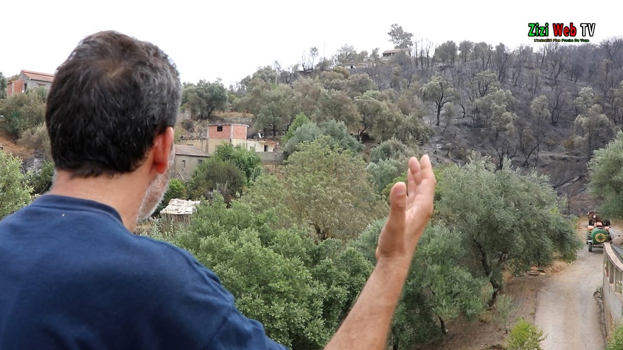 Reportage Et Témoignages … Sur Les Traces Des Feux De Forêts à Ait Yahia Moussa à Tizi-Ouzou …