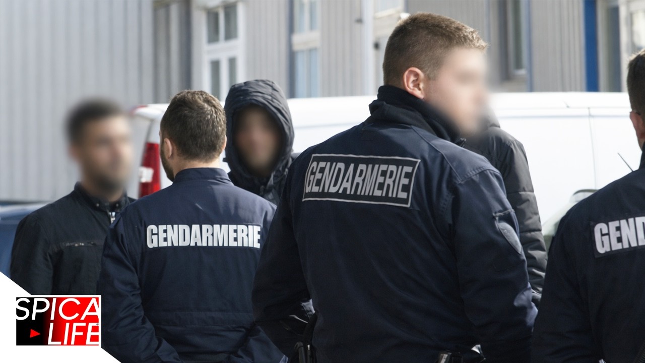 COUP DE FILET : les gendarmes traquent les délinquants sans relâche