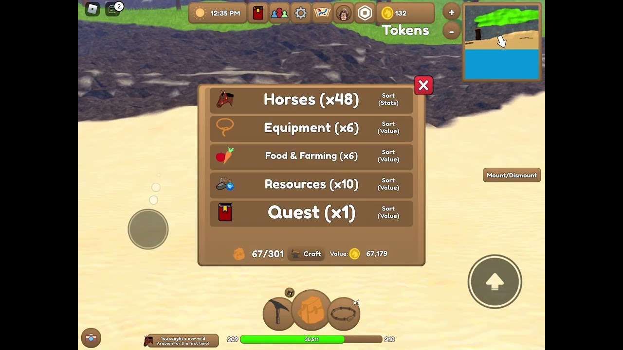 Finding a wild Arabian/wild horse islands\ YouTube