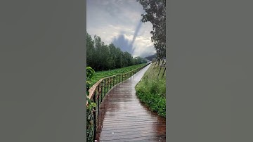 اجمل تلاوة رحه نفسية  سورة الحاقة بصوت ماهر المعيقلي ✨
