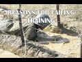 Reasons For Failing Training