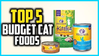 ✅Top 5 Best Budget Cat Foods in 2024 ✅Top 5 Best Budget Cat Foods in 2024