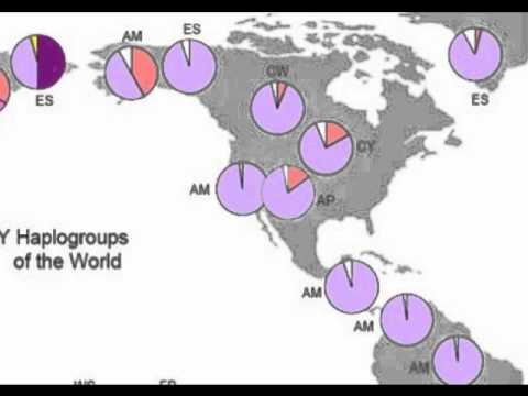 Genetic Study: DNA history : evolution and migrati...