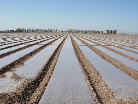 (bio)solarización-–-ventajas-y-desventajas