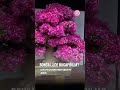 🌸😱 ¿Sabías que existe el bonsái de bugambilia?