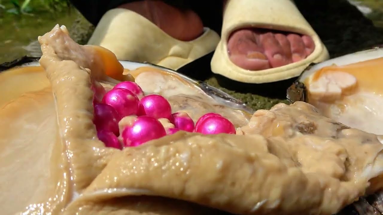 😱😱 Wow, 🧐 Look what I got from the clam, a super large purple bead 🔮😘