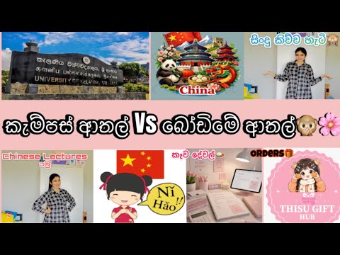 Campus දවසක් ගෙවුන විදහ🥰🌸 Chinese ඉගෙන ගන්න විදිහ බලමු🙊