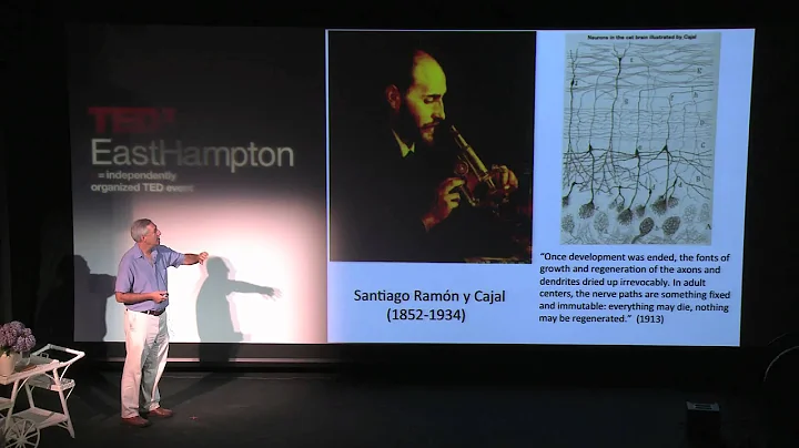 TEDxEastHampton - Paul Roossin on the Neurology of...