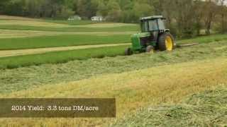 Triticale Cover Crops for Feed and Soil Health