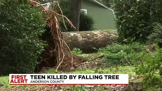 Anderson Co. Teenager Killed By Inclement Weather