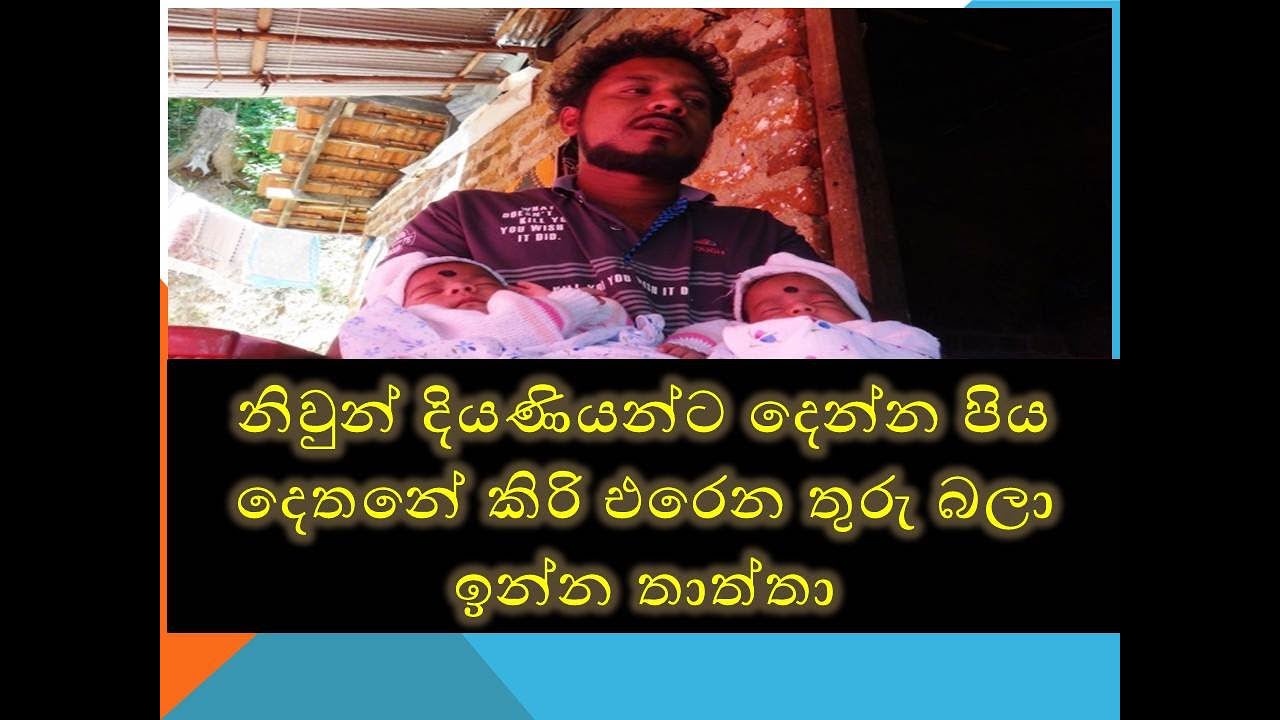 niwun diyaniyo නිවුන් දියණියන්ට දෙන්න පිය දෙතනේ කිරි එරෙන තුරු බලා ඉන්න තාත්තා