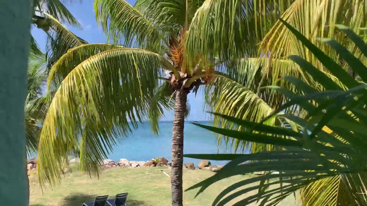 St.lucia Gros islet bay guest house feb/06/2020 YouTube