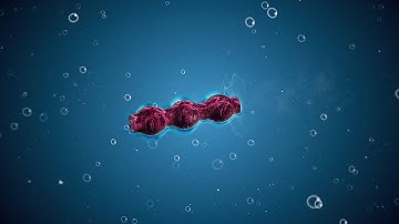 Soft photo Micro-Swimmer