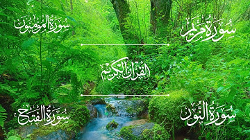 سورة مريم | سورة المؤمنون | سورة النور | سورة الفتح | الشيخ خالد الجليل - Sheikh Khalid Al-Jalil