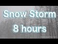 Snow Storm 8 hours/Nature Sound Music For Sleep, Study, Work, Meditation
