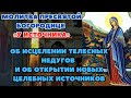 Молитва Пресвятой Богородице У источника