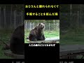クマはおじさんと離れられなくて冬眠することを拒んだ!