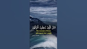 آيات بينات من الذكر الحكيم بصوت رائع ومأثر ❤ #القرآن_الكريم #المصحف #المغرب #دويتو #duet