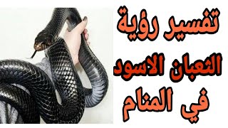 تفسير حلم رؤية الثعبان الأسود فى المنام لابن سيرين