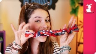 Tee Shirt Yarn Dog Toy - Sedona DIY