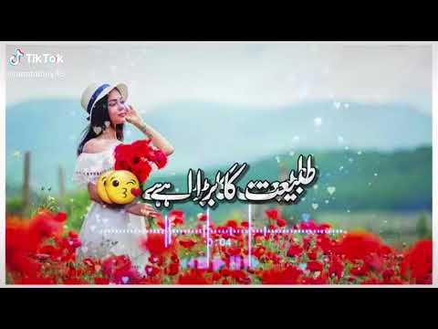 DIL KA BHOLA HAI  WHATSAPP STATUS