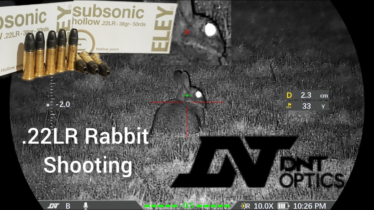 Охота на кроликов / .22LR / DNT Zulus V2