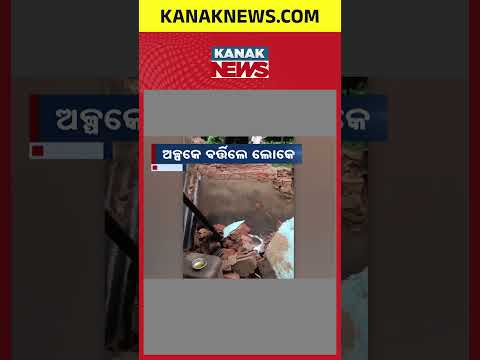 Deogarh Elephant Attack | Wild Elephant Damages Three Houses in Barkote