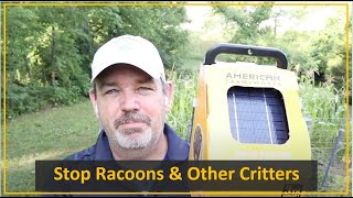 #130:   Stop Raccoons from Destroying your Garden / Corn Field Do Deer Eat Corn Plants