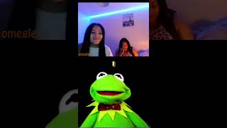 Kermit Rizz 🐸 #funny #memeclip #funnymemes #kermitmemes #rizz #rizzler #pickuplines #valentine