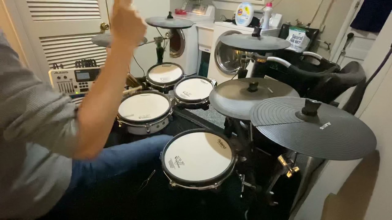 Invisions - Parasite (Drum Cover) Feat. Benji the pup