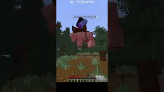 Sceptical finds a new glitch #minecraft