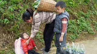 Single mother: Harvesting the cabbage garden to sell at the market | Hòang Hồng Nhung TV