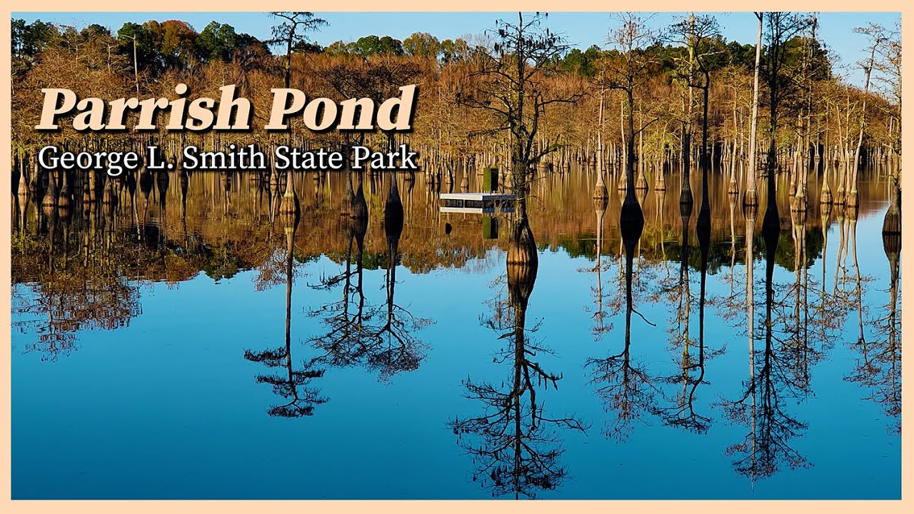 미국 조지아 주의 숨겨진 보석, Parrish Pond & Parrish Mill in L. Smith State