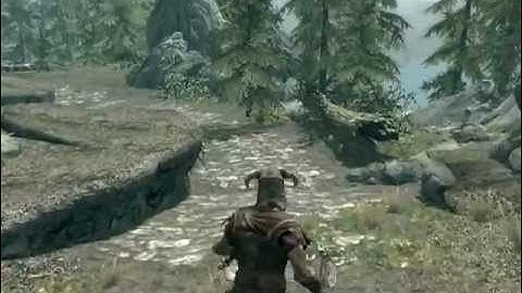 Skyrim Performance on a low-end PC