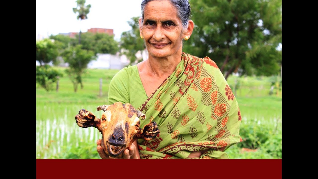 Grand Mother Lamb Head Recipe || Traditional Sheep Head Recipe village style By My Grandma's
