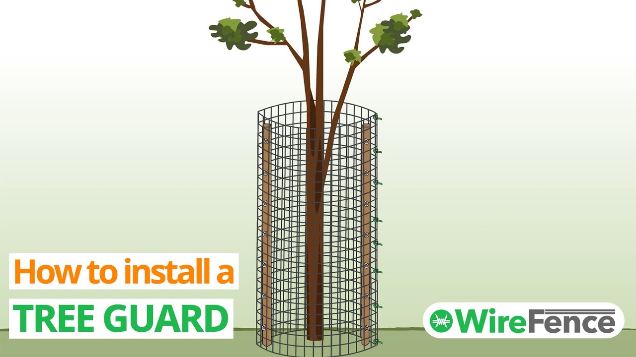 How to Install a Tree Guard (And Build From Scratch) | WireFence