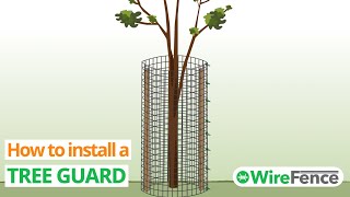 How to Install a Tree Guard (And Build From Scratch) | WireFence