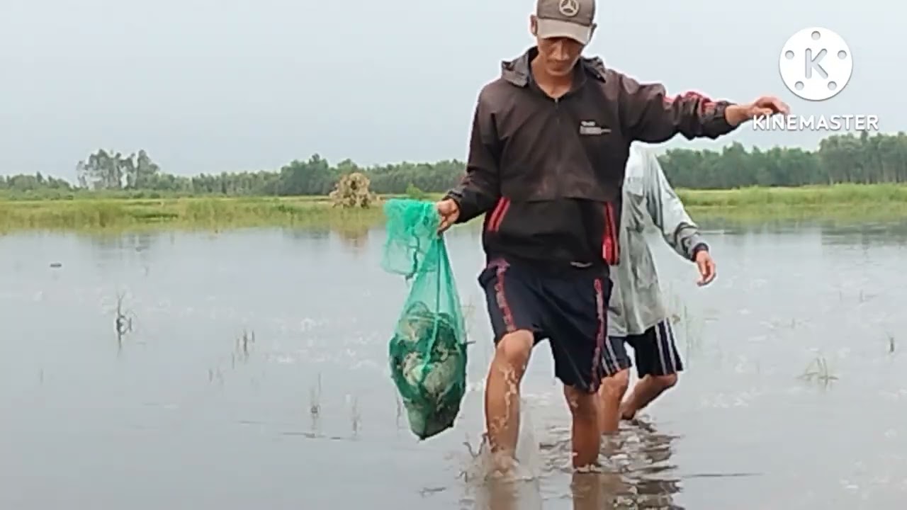 bẩy vịt trời tập  3 và cái kết