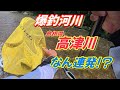 【鮎釣り】爆釣河川 高津川で 超連発❗