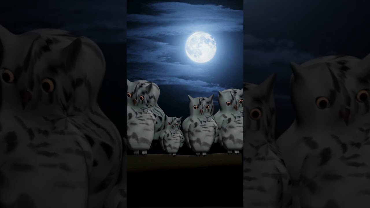 Did you know what is a group of Owl called.???  