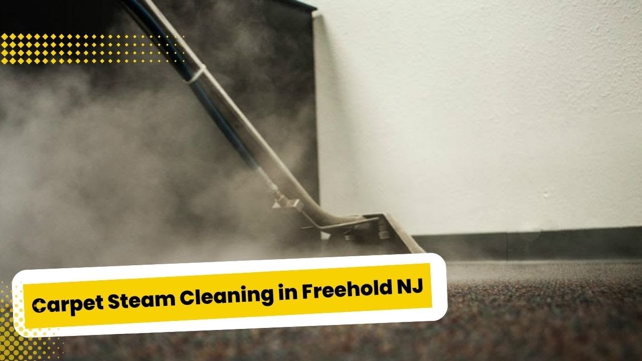 Carpet Steam Cleaning in Freehold NJ YouTube