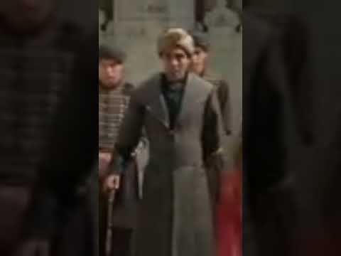 دستور السلطانة الأم قسم