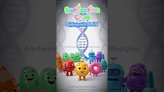 How Eukaryotic Cells Copy DNA | Animated DNA Replication #molecularbiology #animatedai