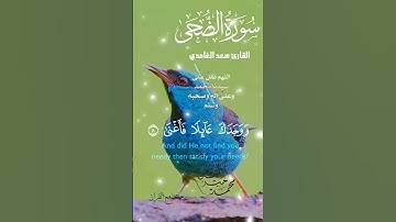 تلاوة خاشعة عطرة مباركة جميلة عذبة للشيخ سعد الغامدي سورة الضحى