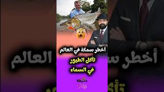 سمكة النمر أخطر سمكة في العالم تأكل الطيور ف السماء #افريقيا #TigerFish #حيوانات_مفترسة #اسماك_مرعبة
