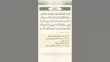 السراج في بيان غريب القران سورة الزمر تلاوة الشيخ سعد الغامدي