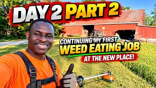 Transforming This Property One Step at a Time | Day 2 part 2 Continues | Bichanga Koree