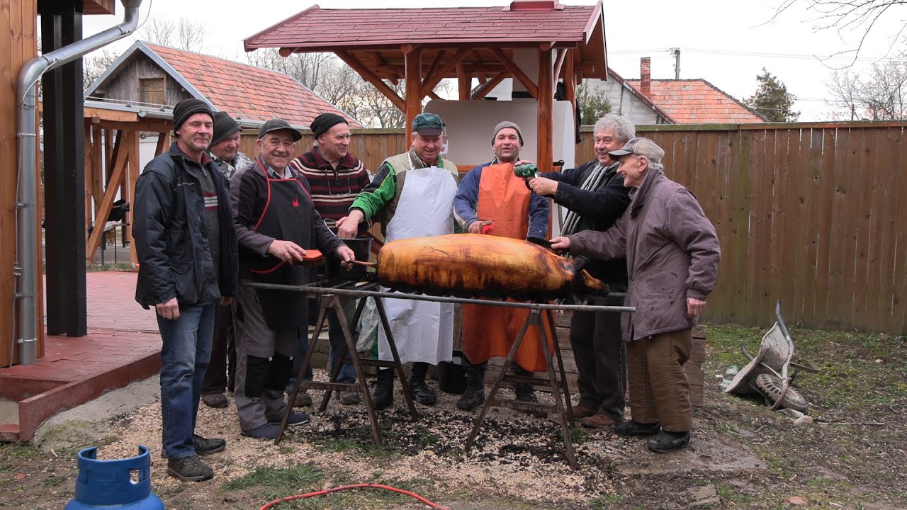 Disznóvágás a szőgyéni tájház udvarán