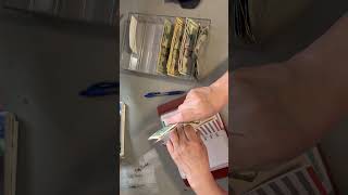 Cash stuffing sinking funds and month ahead binders